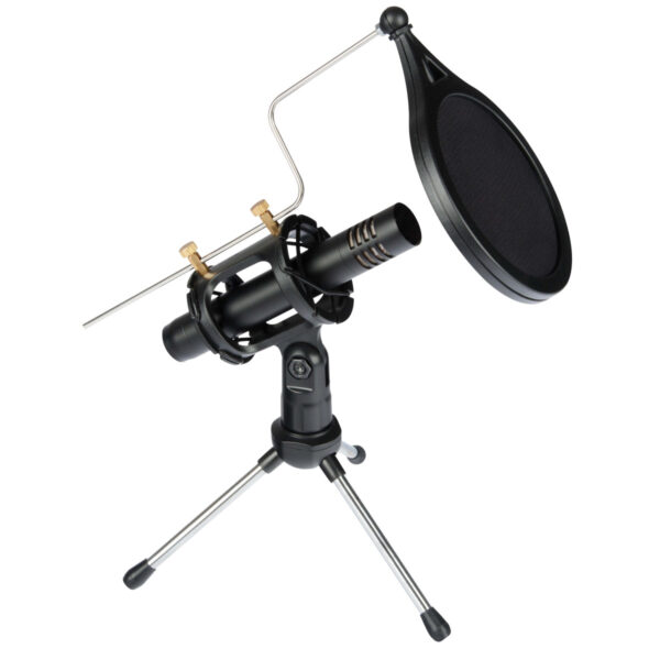 MICROFONO A CONDENSATORE PROFESSIONALE - immagine 2