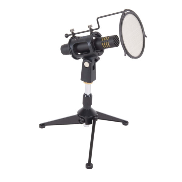 MICROFONO A CONDENSATORE PROFESSIONALE - immagine 2